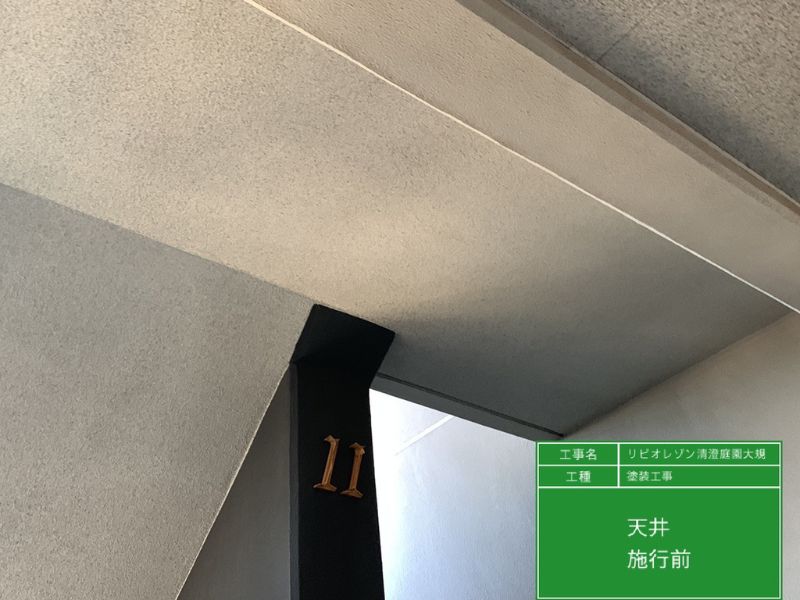 �L���V��H���O